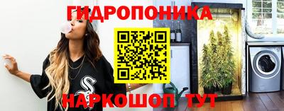 мяу мяу мука Свободный