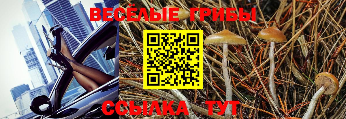 Псилоцибиновые грибы Cubensis  Вход с VPN  купить наркотики сайты  Евпатория 